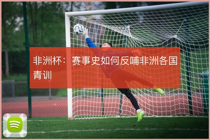 非洲杯:赛事史如何反哺非洲各国青训
